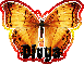 Butterfly Divya