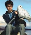 Harry & hedwig
