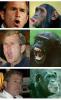 Is Bush a primate?