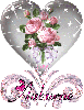 Auburne 2 pink rose