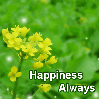 happiness always