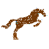 Brown Glitter Horse Jumping