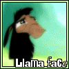 lama face (kusco)