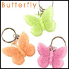 butterflys