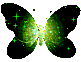 Green and Black Butterfly