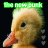 The new punk...!