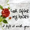 Look After My Heart