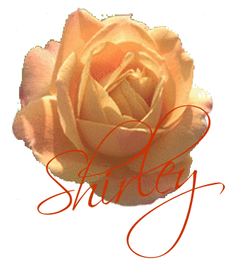 Shirley