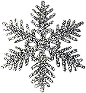 sparkle snowflake