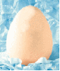 eggbaby