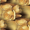gold roses