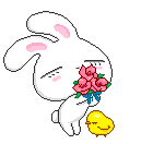cute bunny