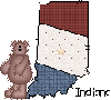 Indiana Bear