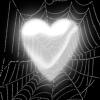 spider web heart