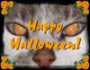 Halloween Cat Eyes