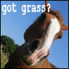 Got Grass?