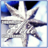 christmas/winter avatar