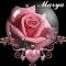 Marya's Pink Rose