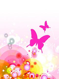 wonderland