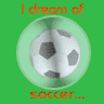 Soccer dream