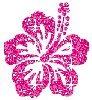 pinkflower1