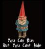Run And Hide- Gnome.