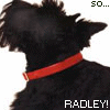 im so .. radley!