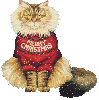 christmas cat in shirt