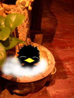 cute kawaii black chick having a bath
