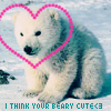 beary cute
