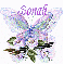 Sonali glitter butterfly