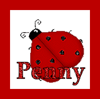 Penny on ladybug white
