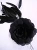 :~:Black Rose:~: