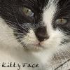 kittyface2