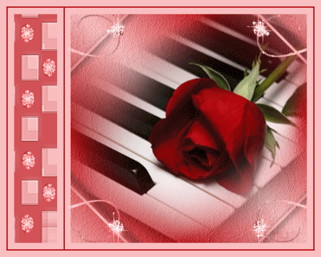 red rose