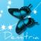 blue butterfly Demitria