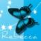 blue butterfly Rebecca