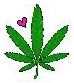 love weed