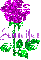 Jennifer purple rose