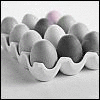 coloured eggies