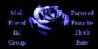 Blue Rose Contact Table