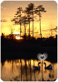 love on the lake