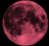 Pink Moon2