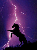 horse in lightning