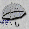 Umbrella in Rain
